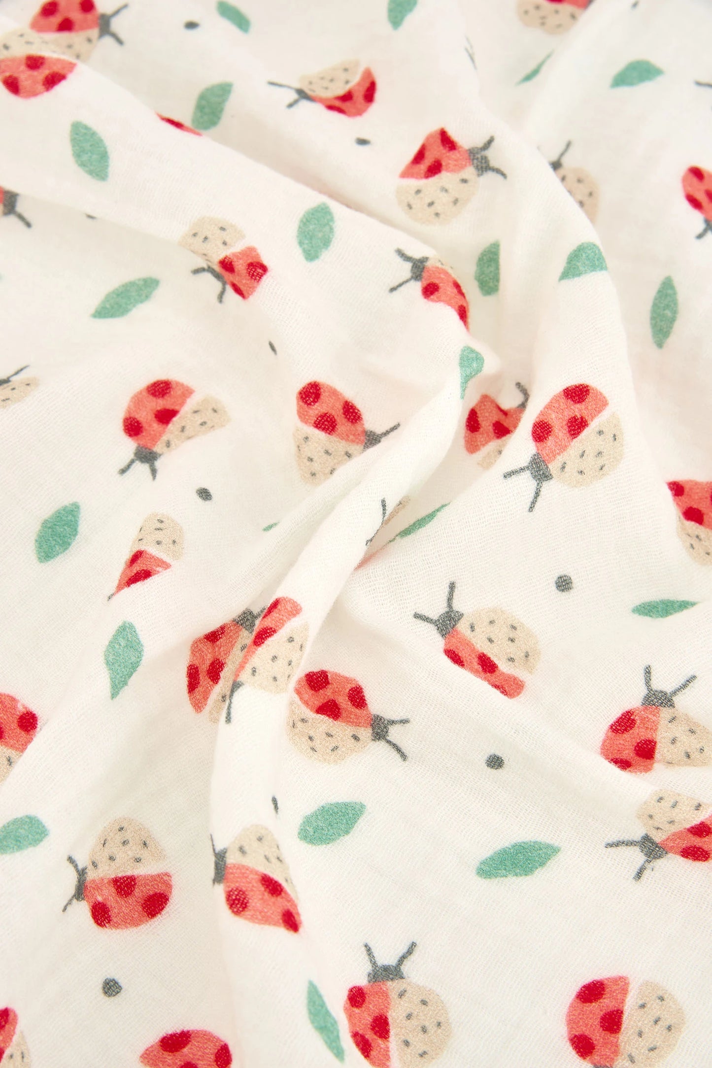 Copertina coccinelle