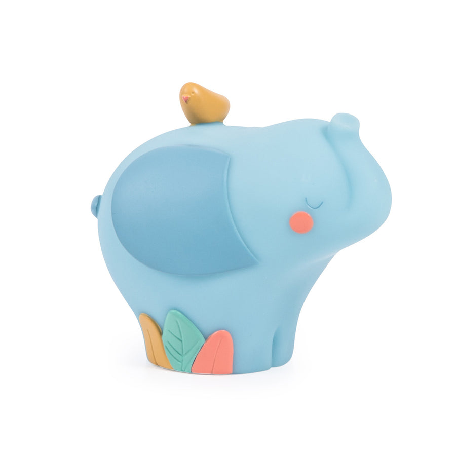 Luce notturna elefante