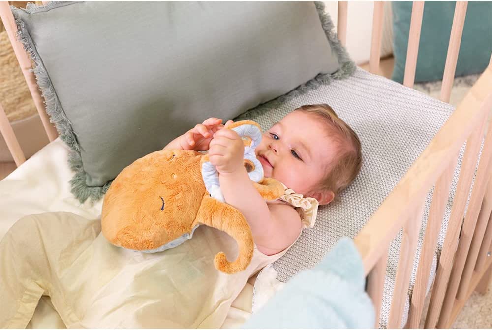 Peluche benessere polipo