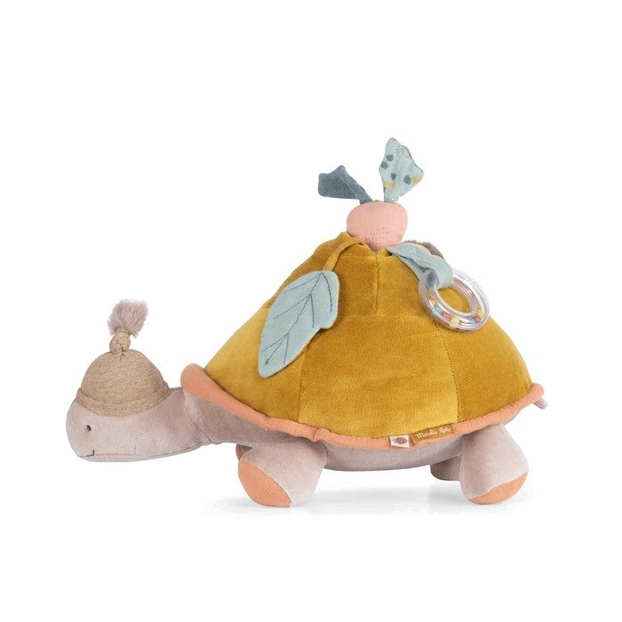 Tartaruga gigante multiattività