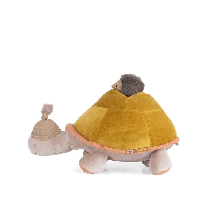 Tartaruga gigante multiattività