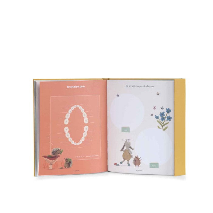 Libro nascita