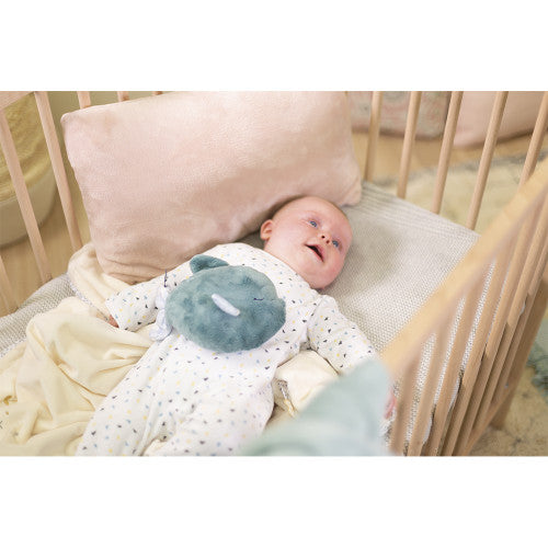 Peluche benessere pesce