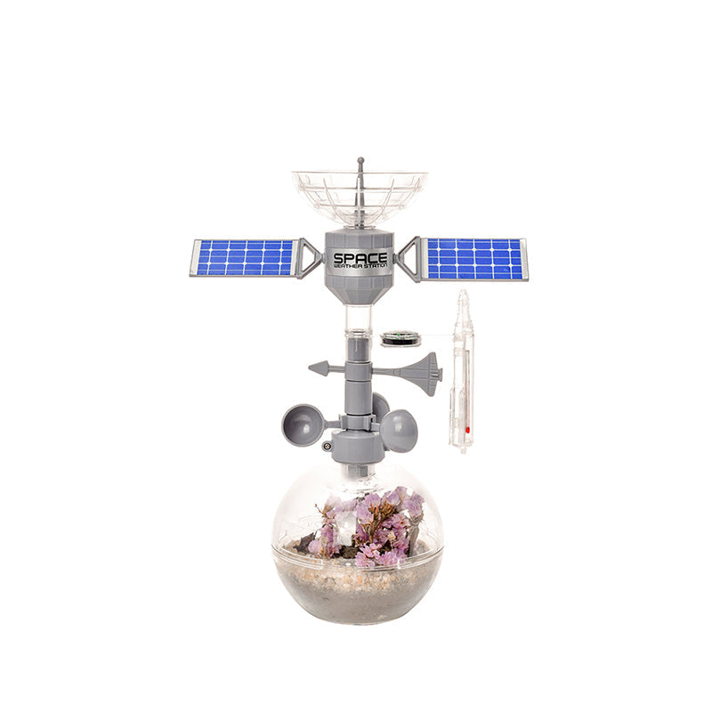 The space weather station