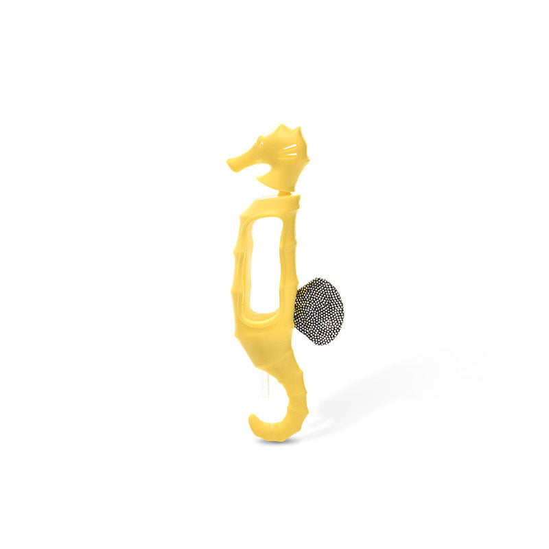 Deep diving seahorse