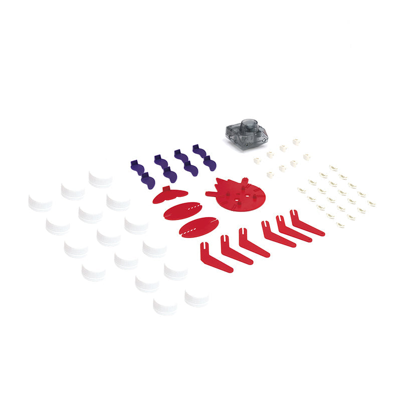 Ocean friends, Lobster & Octopus