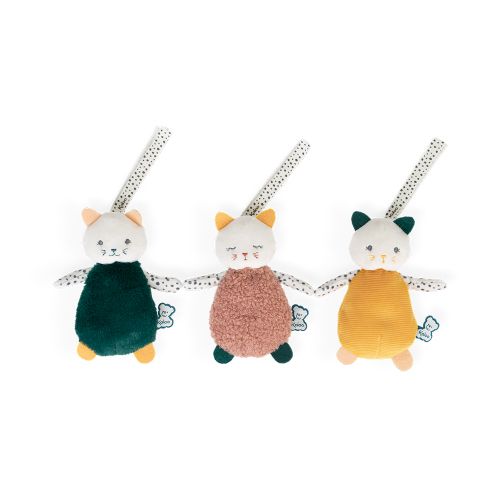 Gatti multisensoriali (3 pz)