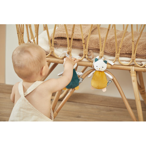 Gatti multisensoriali (3 pz)