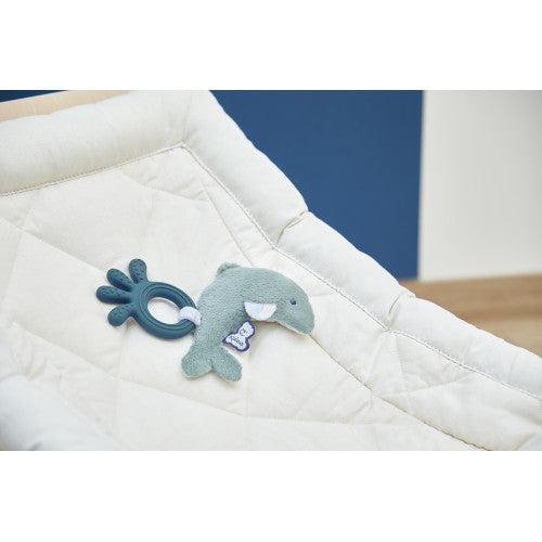 Peluche dentizione delfino