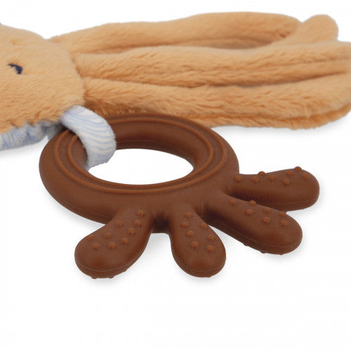 Peluche dentizione polipo