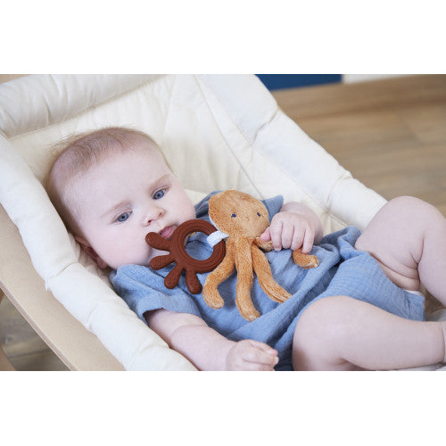 Peluche dentizione polipo