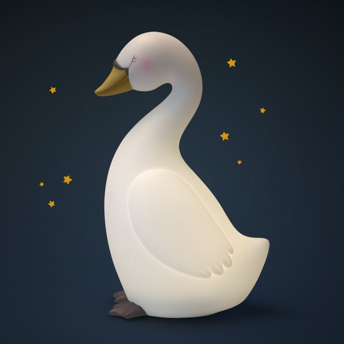 Luca notturna grande cigno