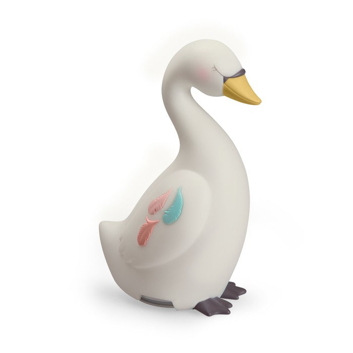 Luca notturna grande cigno
