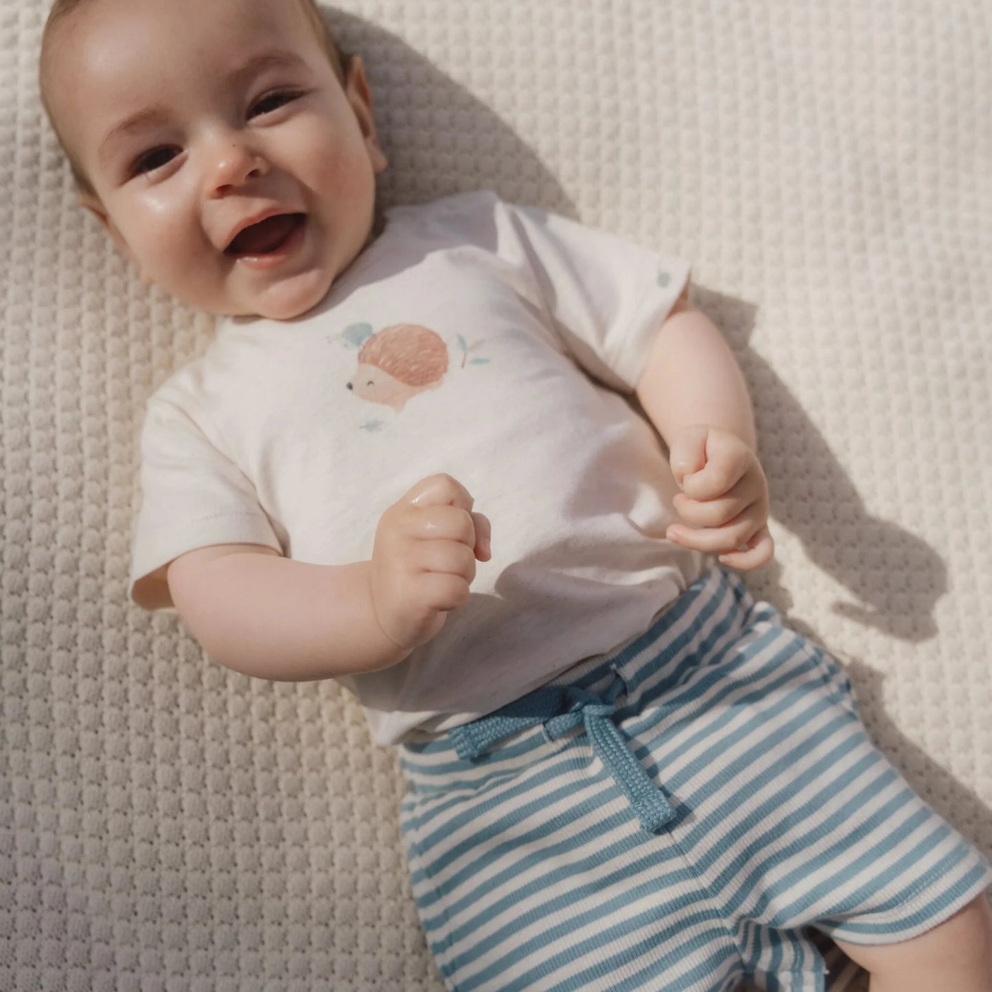 Shorts a righe