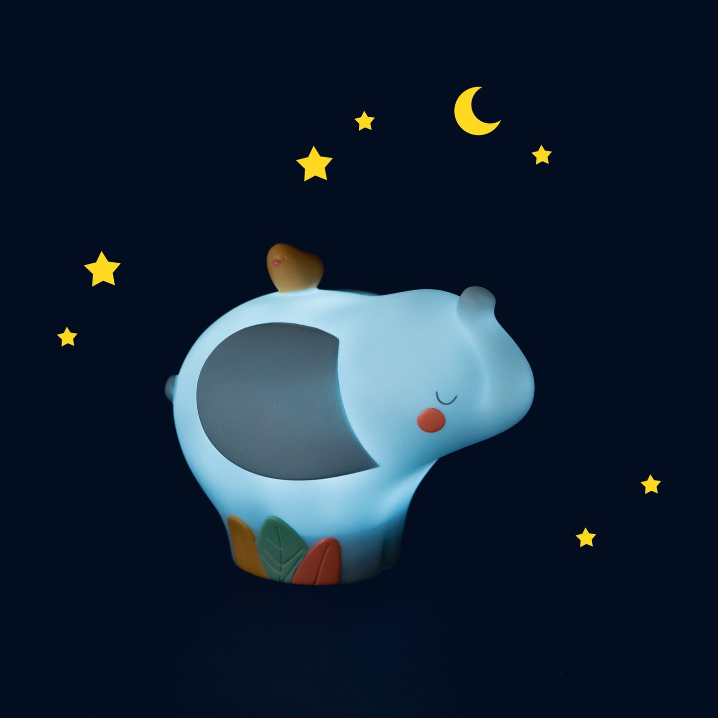 Luce notturna elefante