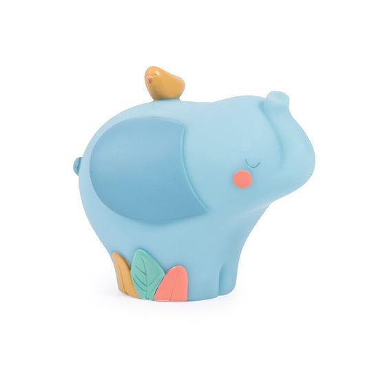 Luce notturna elefante