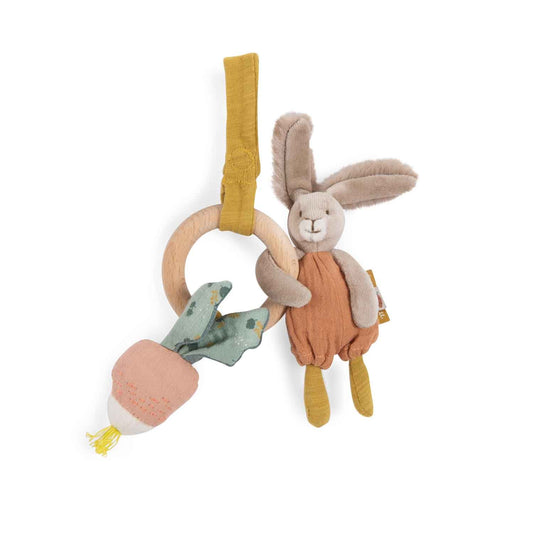 Sonaglio con anello da detizione