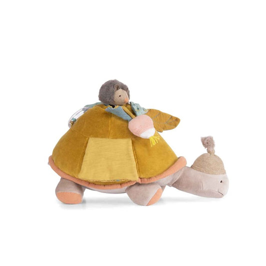 Tartaruga gigante multiattività