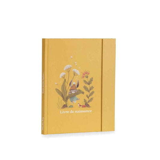 Libro nascita