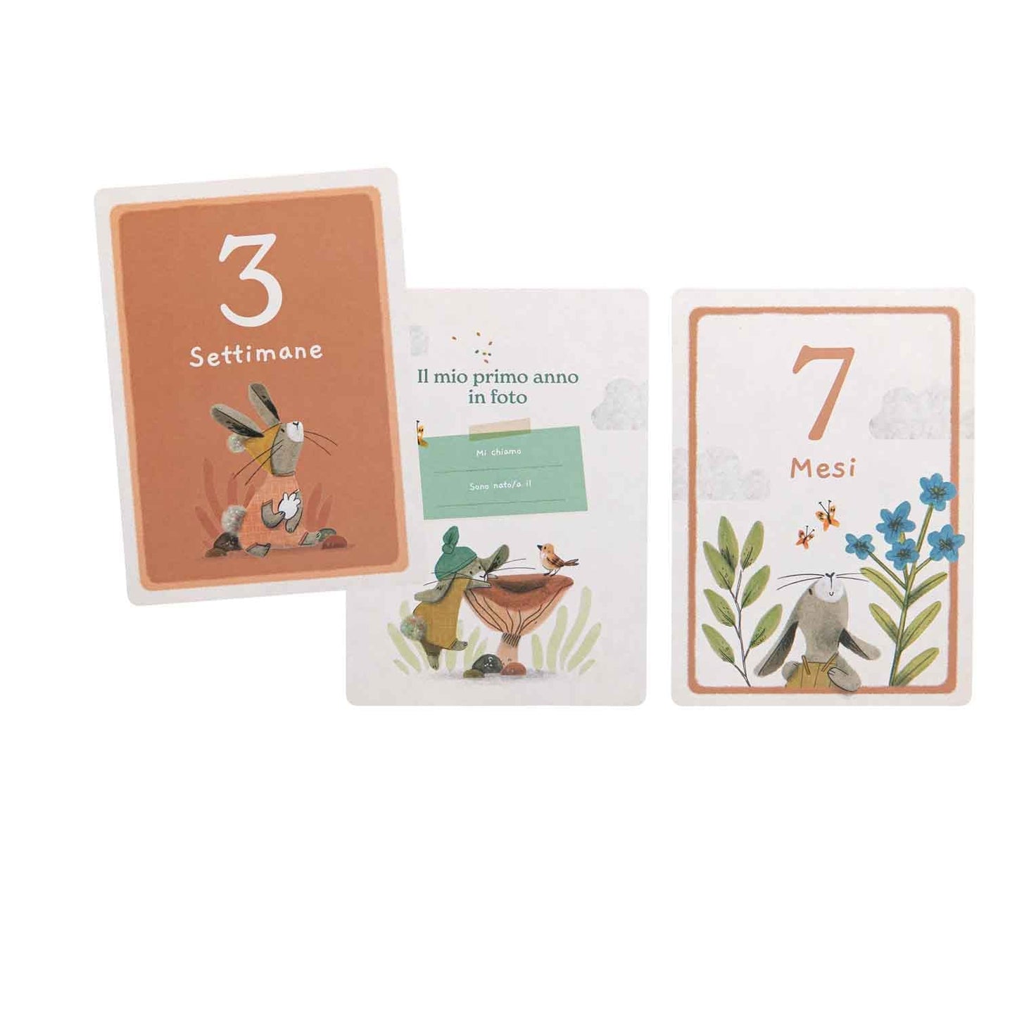 I miei primi 12 mesi, carte nascita