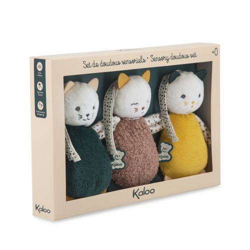 Gatti multisensoriali (3 pz)