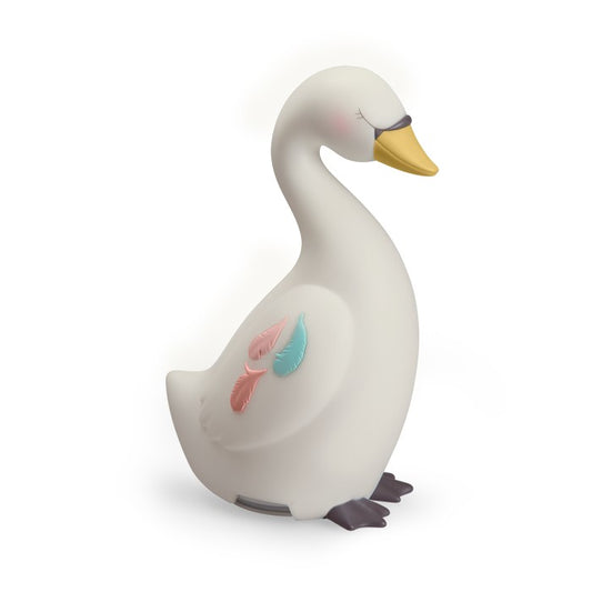 Luca notturna grande cigno
