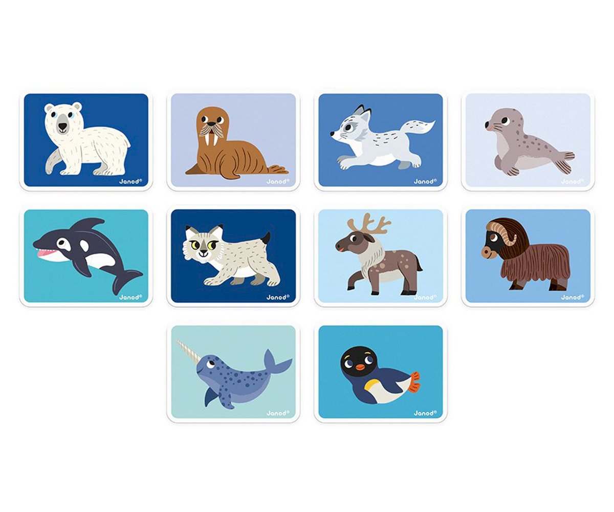 Magneti'book Animali polari