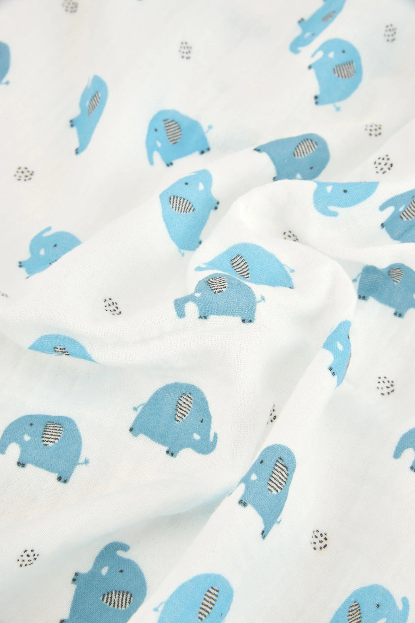 Coperta