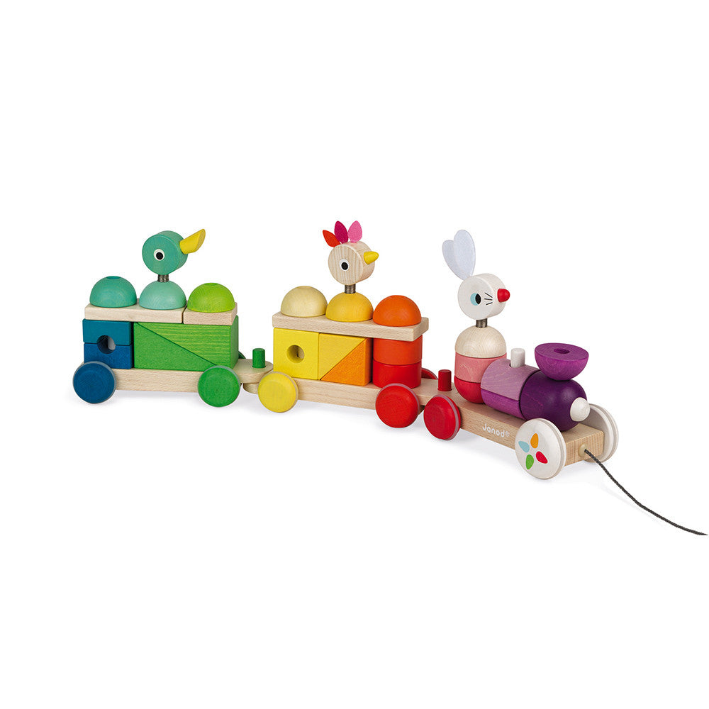 Zigolos Treno Gigante Multicolore